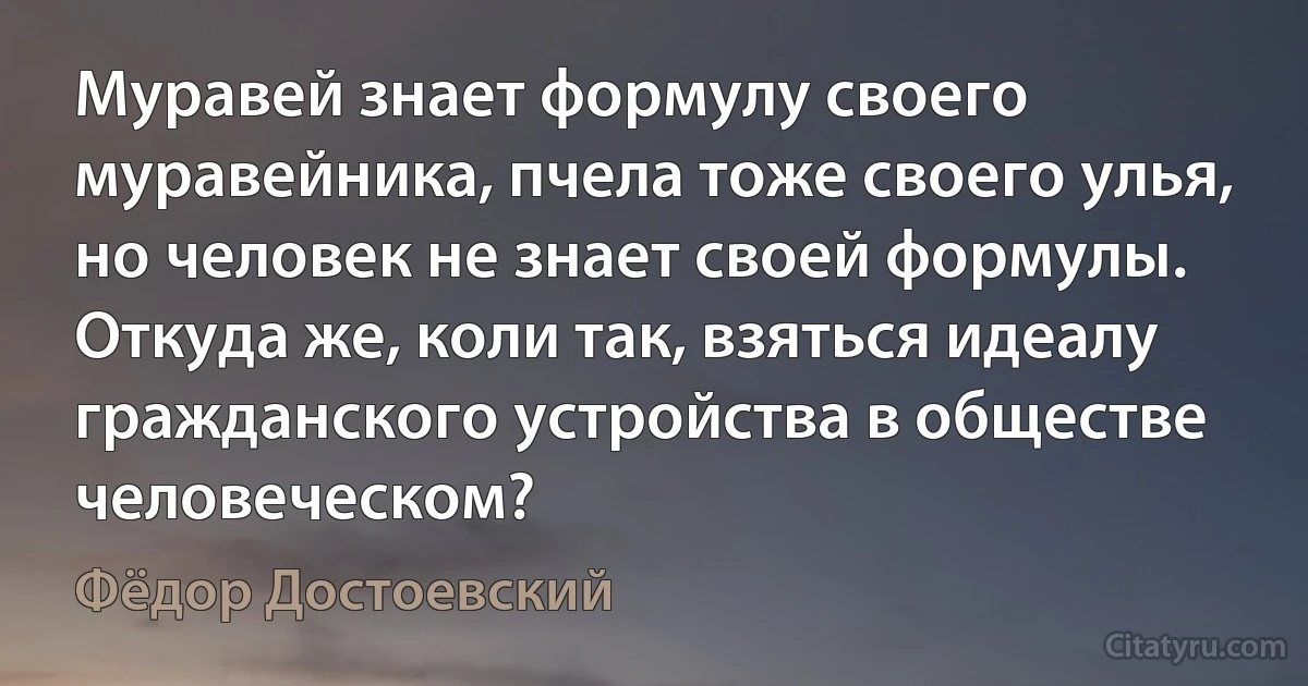 Муравей знает формулу своего муравейника, пчела тоже своего улья, но человек не знает своей формулы. Откуда же, коли так, взяться идеалу гражданского устройства в обществе человеческом? (Фёдор Достоевский)