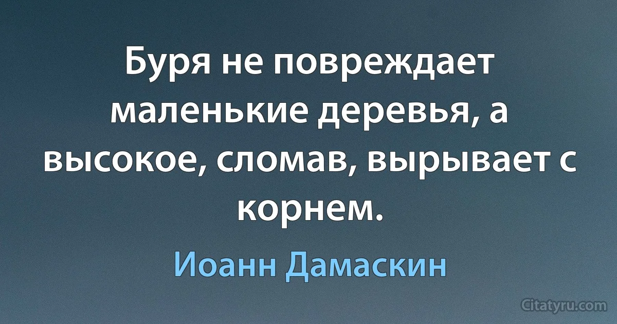 Буря не повреждает маленькие деревья, а высокое, сломав, вырывает с корнем. (Иоанн Дамаскин)