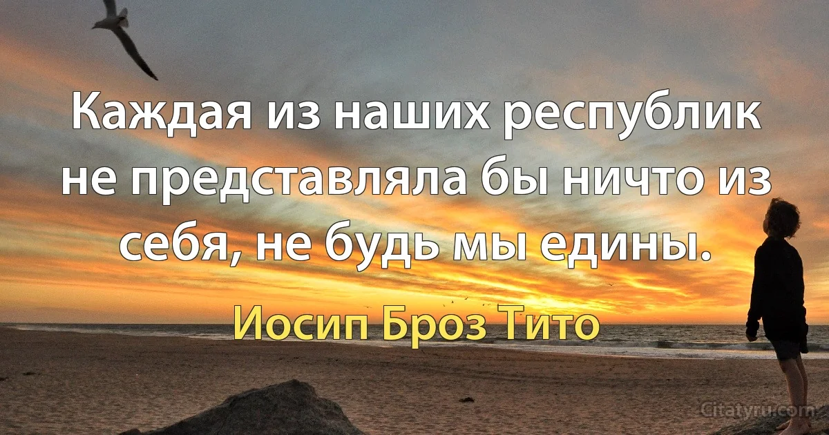 Каждая из наших республик не представляла бы ничто из себя, не будь мы едины. (Иосип Броз Тито)