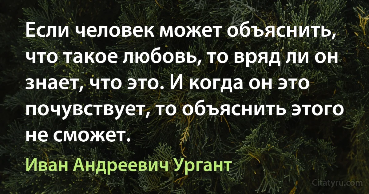 Если человек может объяснить, что такое любовь, то вряд ли он знает, что это. И когда он это почувствует, то объяснить этого не сможет. (Иван Андреевич Ургант)