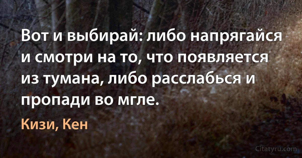 Вот и выбирай: либо напрягайся и смотри на то, что появляется из тумана, либо расслабься и пропади во мгле. (Кизи, Кен)