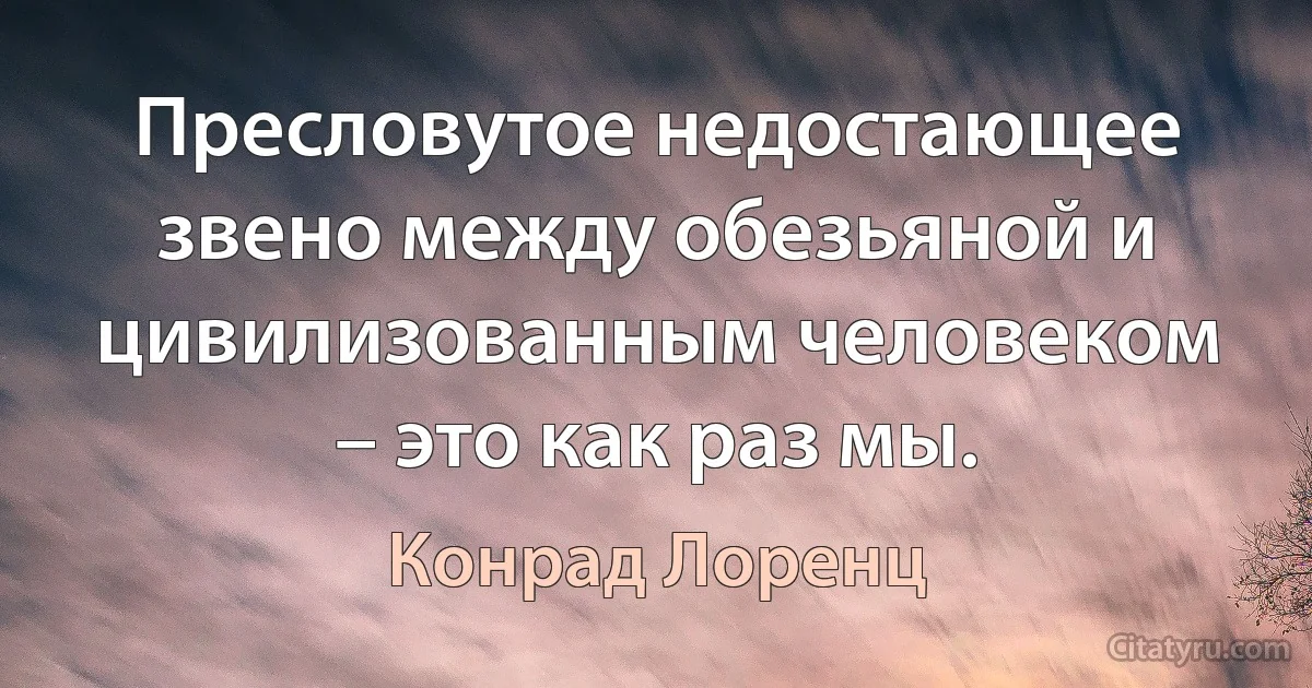 Пресловутое недостающее звено между обезьяной и цивилизованным человеком – это как раз мы. (Конрад Лоренц)