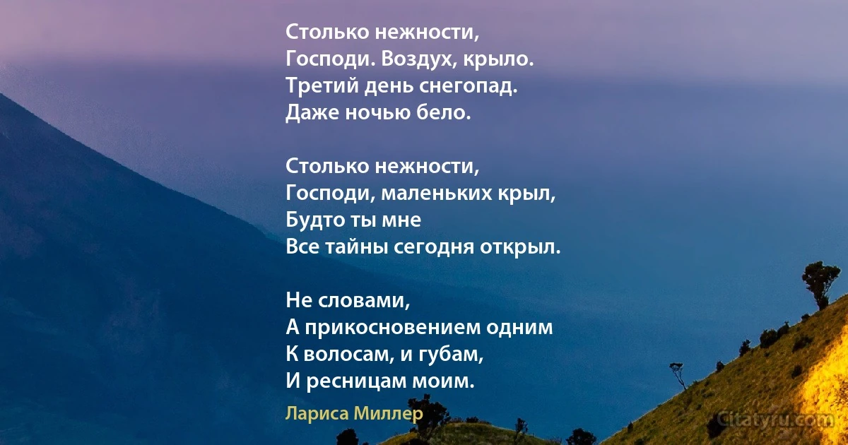 Столько нежности,
Господи. Воздух, крыло. 
Третий день снегопад. 
Даже ночью бело. 

Столько нежности, 
Господи, маленьких крыл, 
Будто ты мне 
Все тайны сегодня открыл. 

Не словами, 
А прикосновением одним 
К волосам, и губам,
И ресницам моим. (Лариса Миллер)