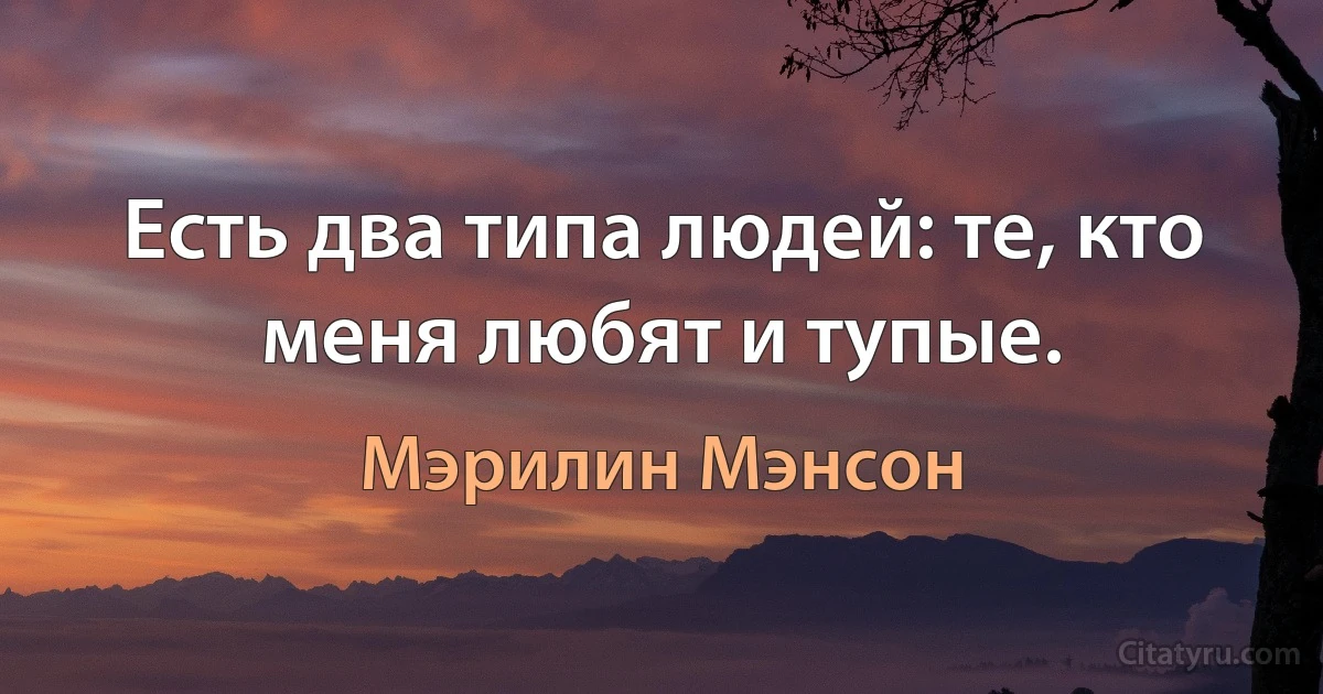 Есть два типа людей: те, кто меня любят и тупые. (Мэрилин Мэнсон)