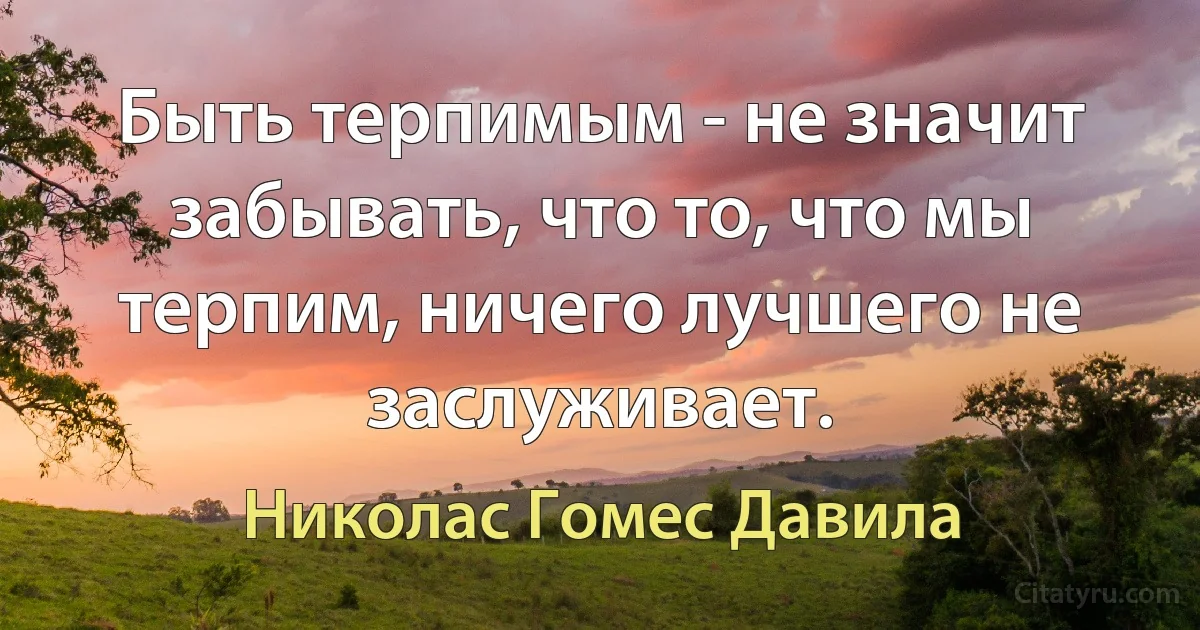 Быть терпимым - не значит забывать, что то, что мы терпим, ничего лучшего не заслуживает. (Николас Гомес Давила)