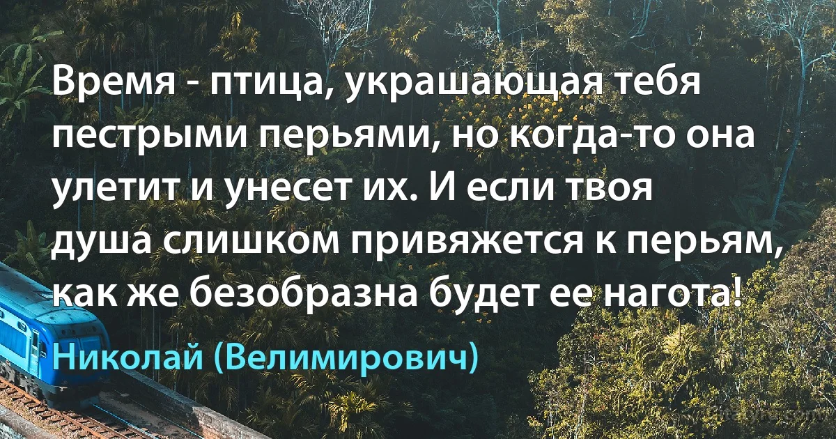 Время - птица, украшающая тебя пестрыми перьями, но когда-то она улетит и унесет их. И если твоя душа слишком привяжется к перьям, как же безобразна будет ее нагота! (Николай (Велимирович))