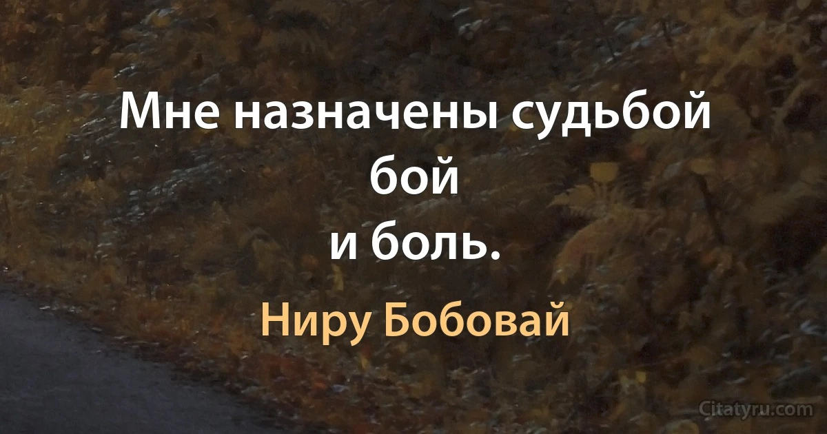 Мне назначены судьбой
бой
и боль. (Ниру Бобовай)