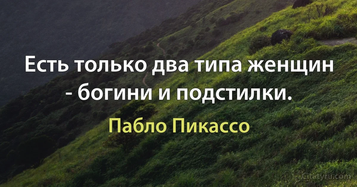 Есть только два типа женщин - богини и подстилки. (Пабло Пикассо)