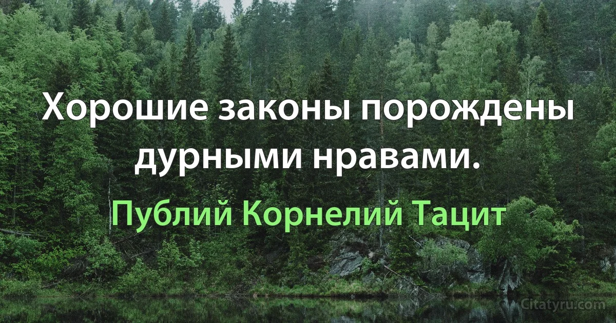 Хорошие законы порождены дурными нравами. (Публий Корнелий Тацит)