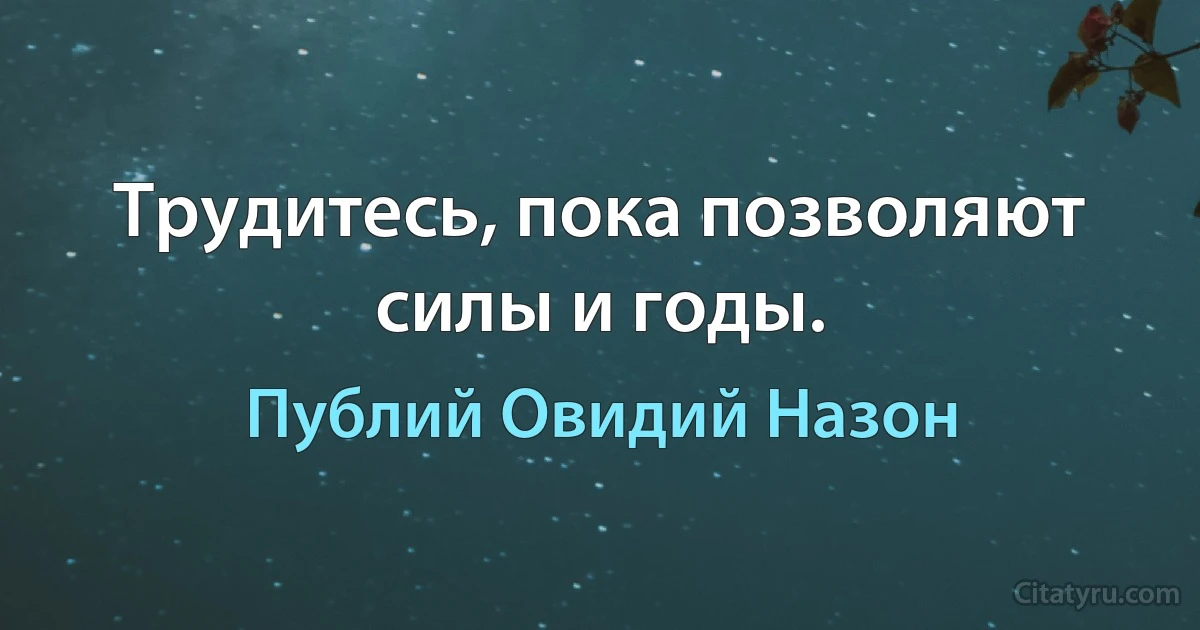 Трудитесь, пока позволяют силы и годы. (Публий Овидий Назон)