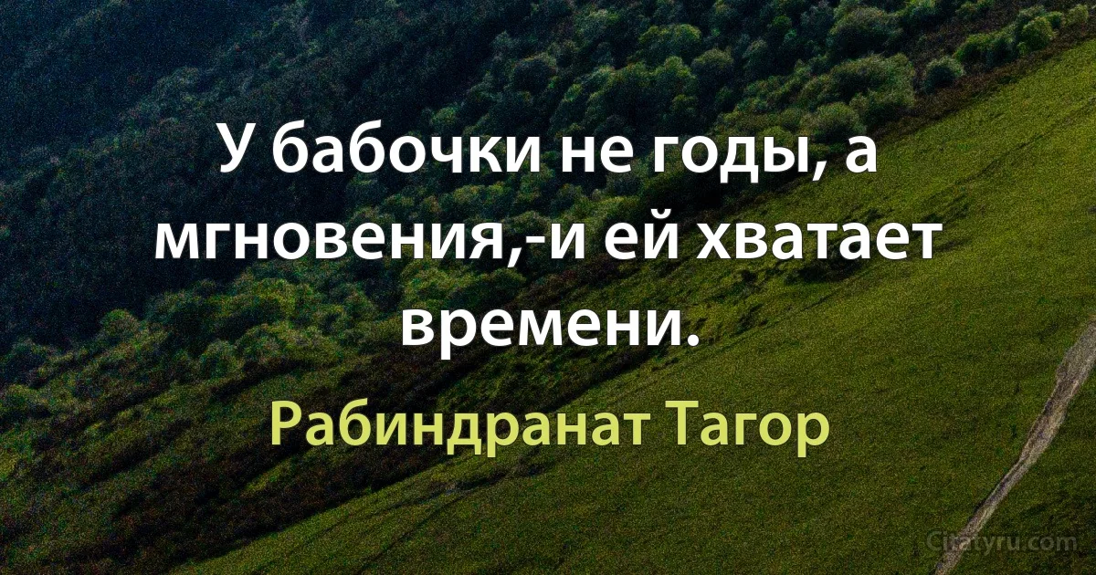 У бабочки не годы, а мгновения,-и ей хватает времени. (Рабиндранат Тагор)