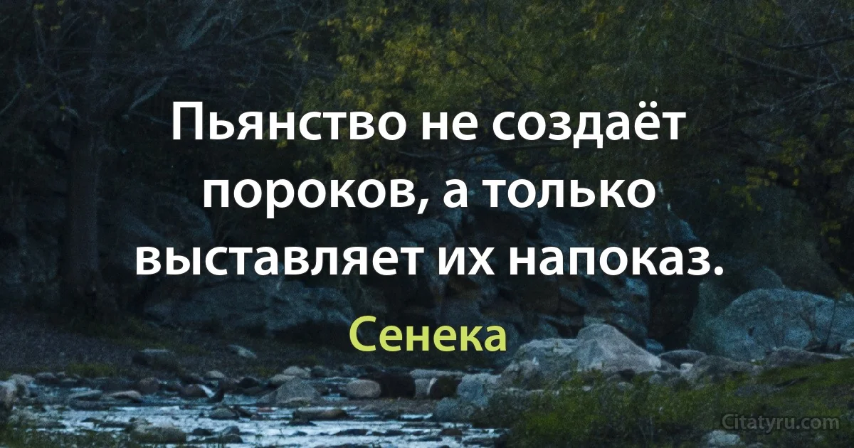 Пьянство не создаёт пороков, а только выставляет их напоказ. (Сенека)