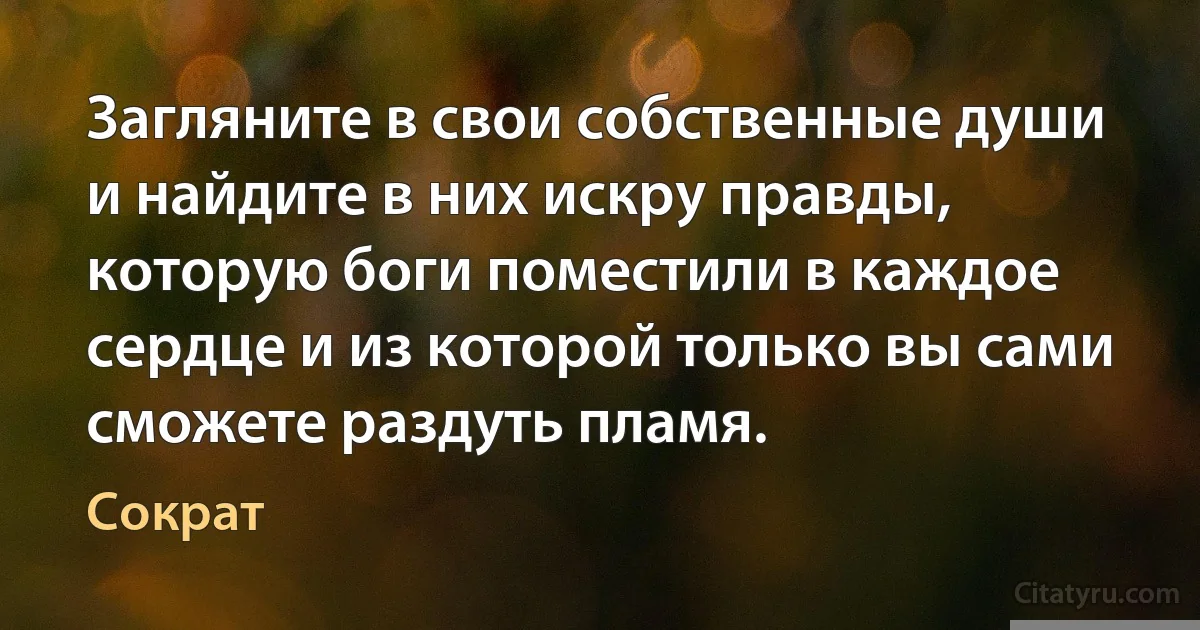 Загляните в свои собственные души и найдите в них искру правды, которую боги поместили в каждое сердце и из которой только вы сами сможете раздуть пламя. (Сократ)