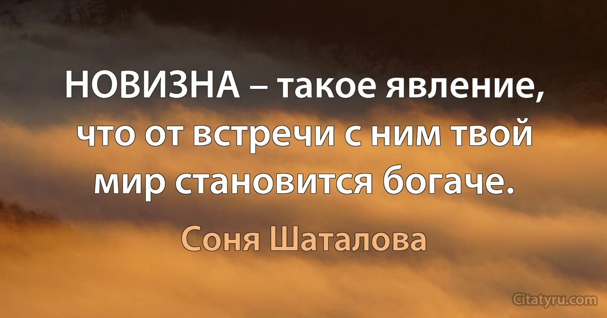 НОВИЗНА – такое явление, что от встречи с ним твой мир становится богаче. (Соня Шаталова)