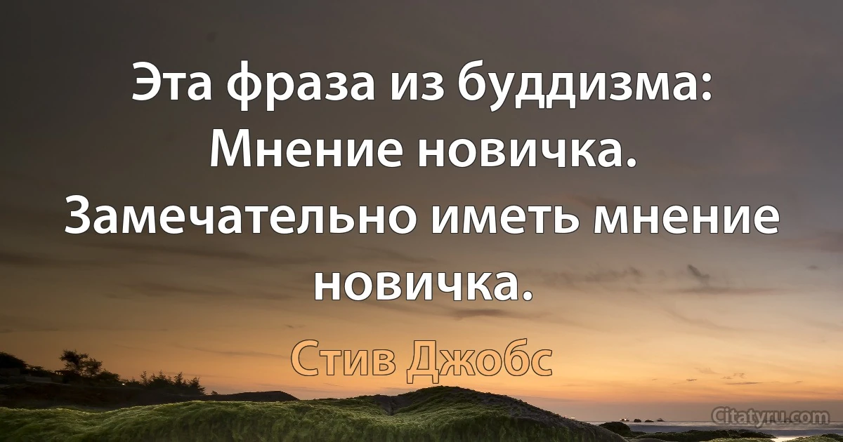 Эта фраза из буддизма: Мнение новичка. Замечательно иметь мнение новичка. (Стив Джобс)