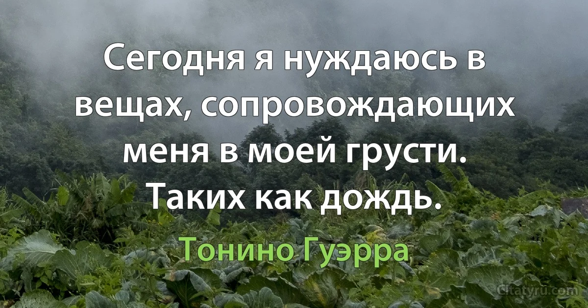 Сегодня я нуждаюсь в вещах, сопровождающих меня в моей грусти. Таких как дождь. (Тонино Гуэрра)