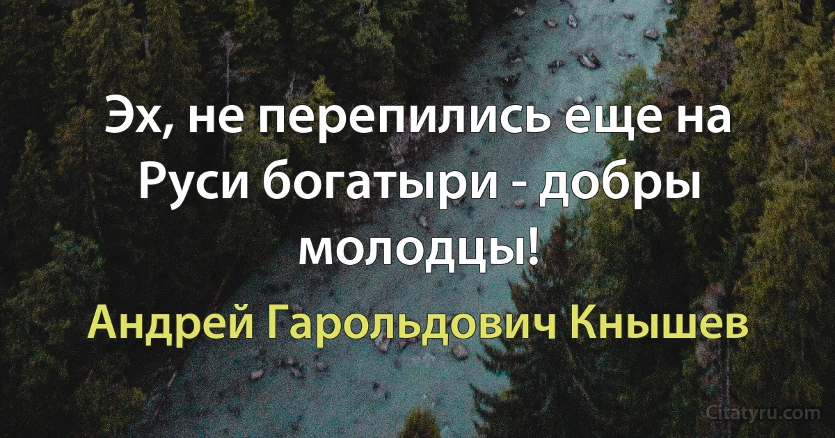 Эх, не перепились еще на Руси богатыри - добры молодцы! (Андрей Гарольдович Кнышев)