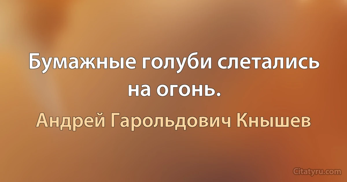 Бумажные голуби слетались на огонь. (Андрей Гарольдович Кнышев)