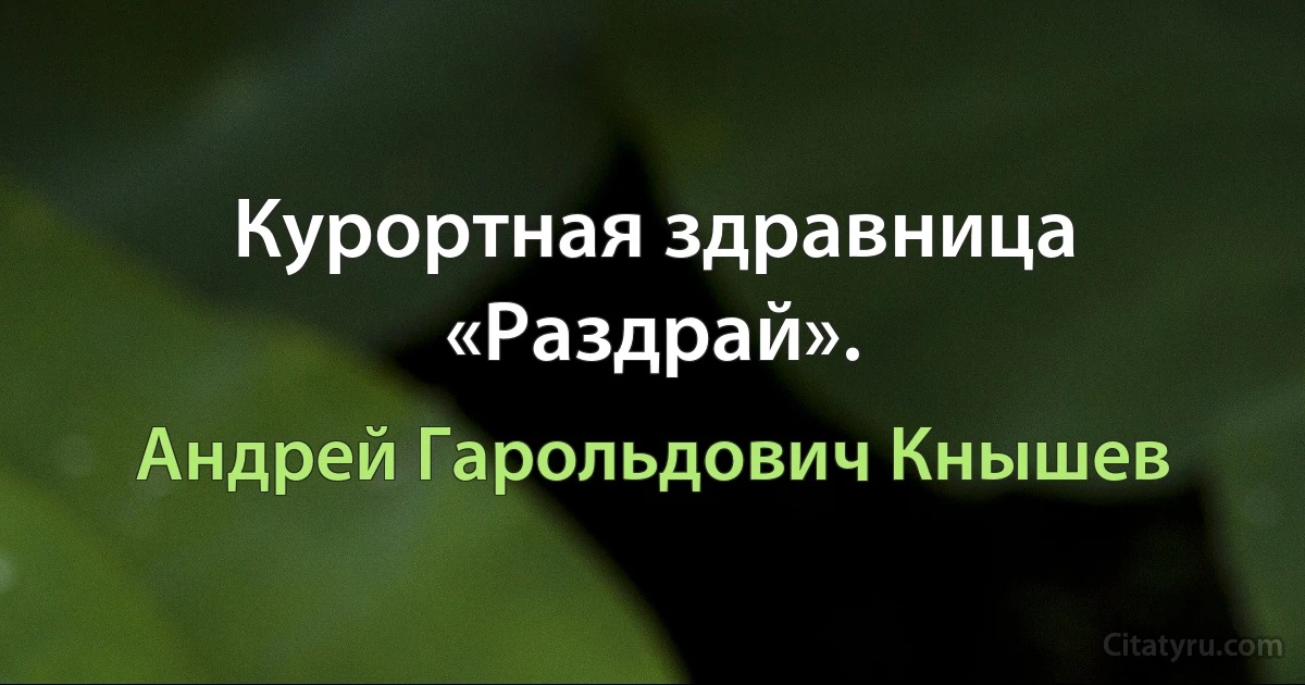 Курортная здравница «Раздрай». (Андрей Гарольдович Кнышев)