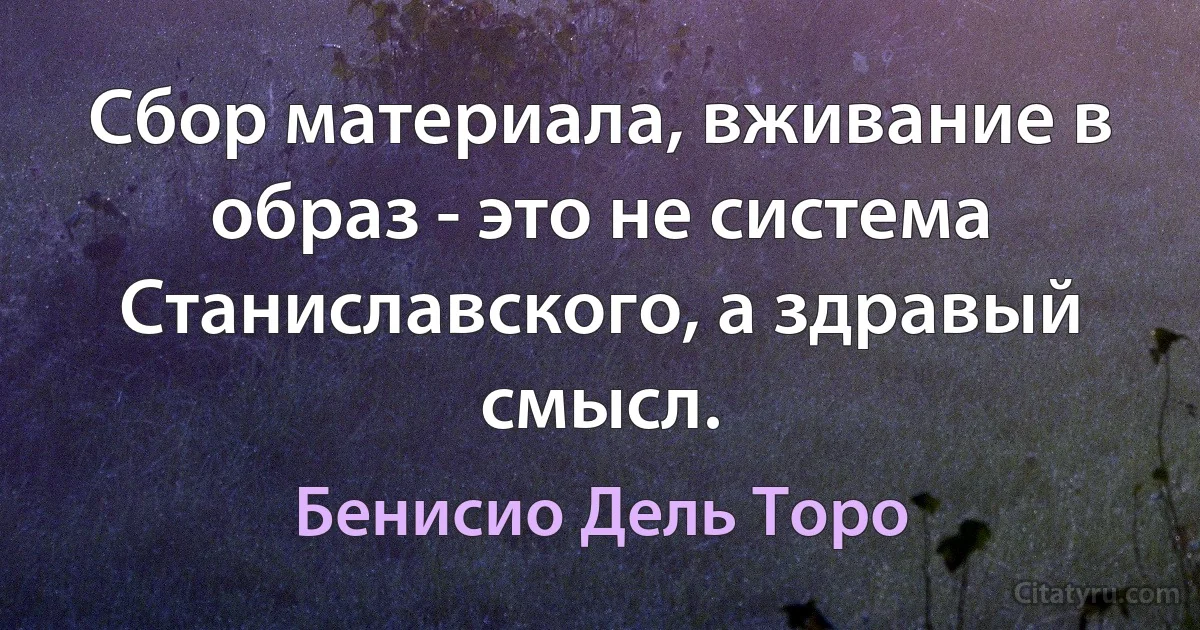 Сбор материала, вживание в образ - это не система Станиславского, а здравый смысл. (Бенисио Дель Торо)