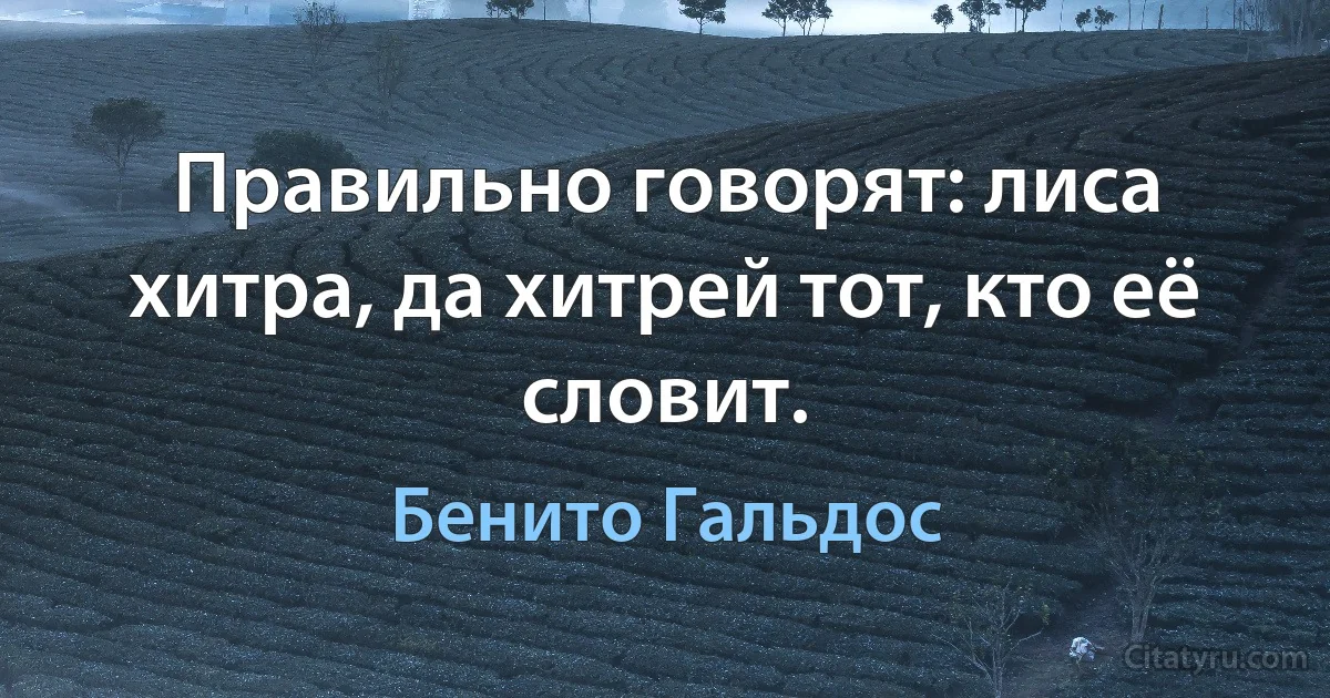 Правильно говорят: лиса хитра, да хитрей тот, кто её словит. (Бенито Гальдос)