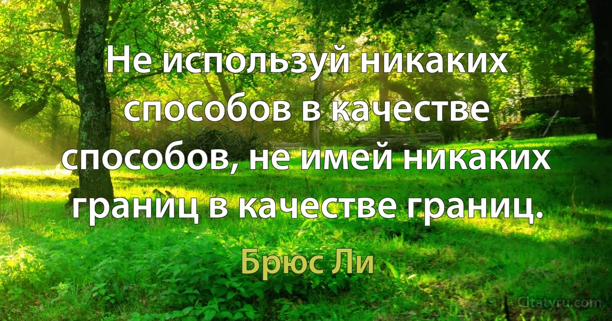 Не используй никаких способов в качестве способов, не имей никаких границ в качестве границ. (Брюс Ли)