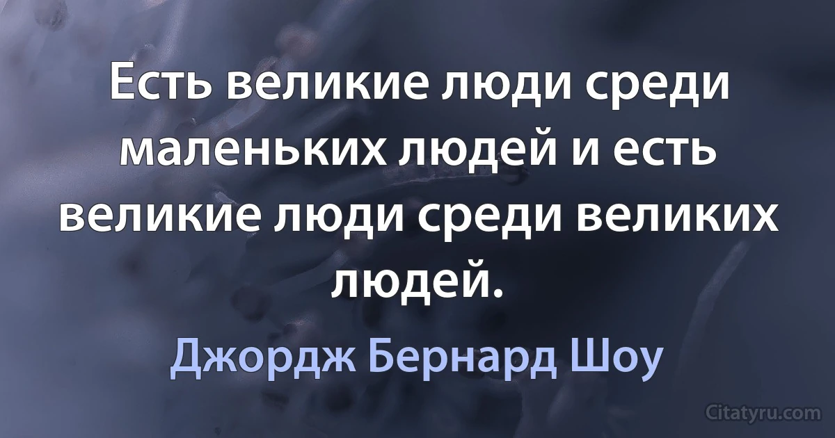 Есть великие люди среди маленьких людей и есть великие люди среди великих людей. (Джордж Бернард Шоу)