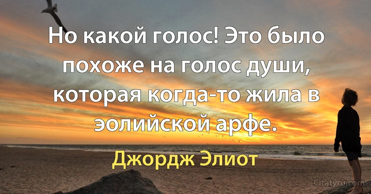 Но какой голос! Это было похоже на голос души, которая когда-то жила в эолийской арфе. (Джордж Элиот)