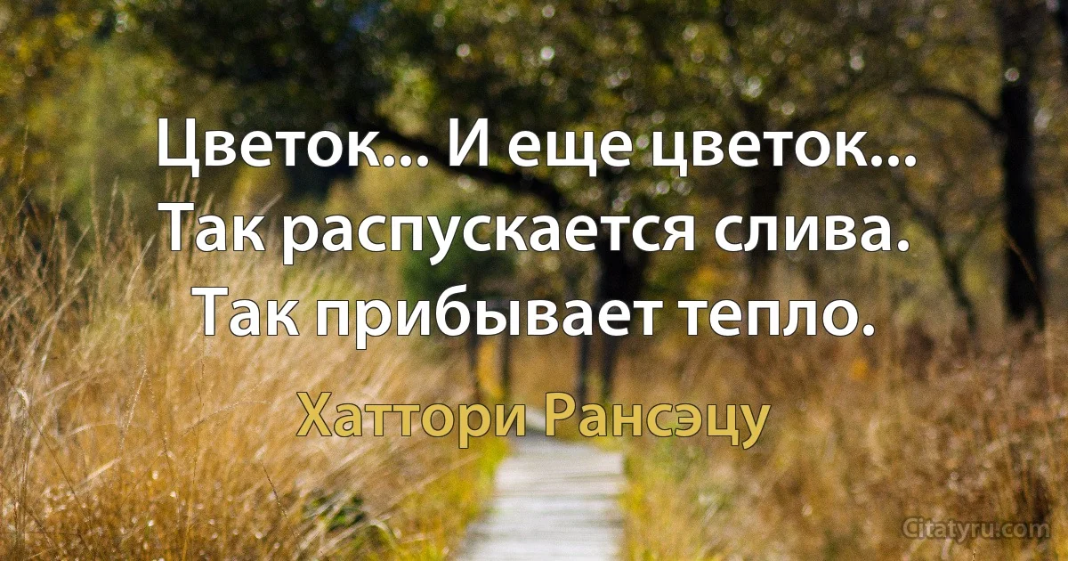 Цветок... И еще цветок...
Так распускается слива.
Так прибывает тепло. (Хаттори Рансэцу)