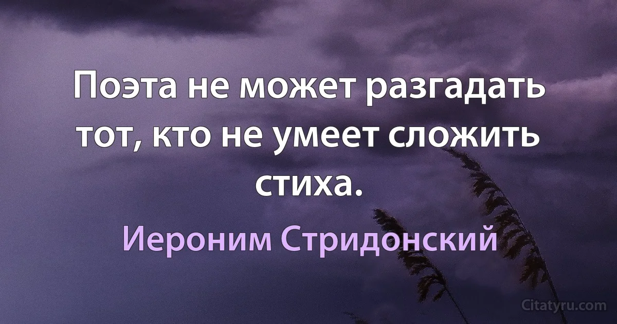 Поэта не может разгадать тот, кто не умеет сложить стиха. (Иероним Стридонский)