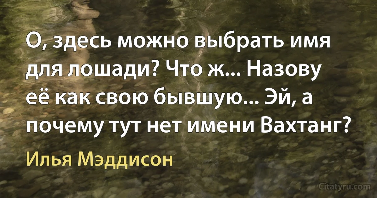 О, здесь можно выбрать имя для лошади? Что ж... Назову её как свою бывшую... Эй, а почему тут нет имени Вахтанг? (Илья Мэддисон)