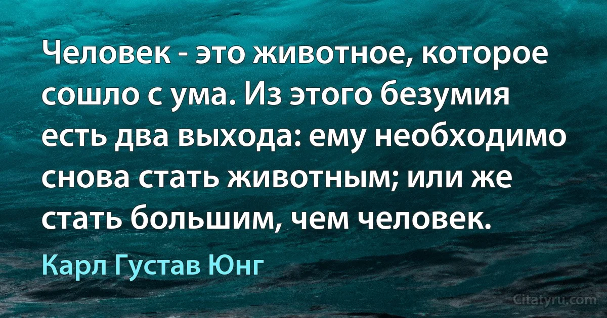 Человек - это животное, которое сошло с ума. Из этого безумия есть два выхода: ему необходимо снова стать животным; или же стать большим, чем человек. (Карл Густав Юнг)