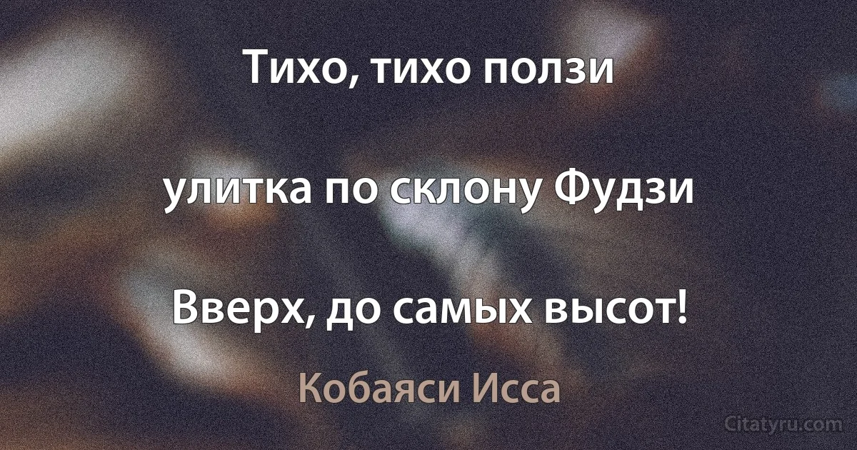 Тихо, тихо ползи

улитка по склону Фудзи

Вверх, до самых высот! (Кобаяси Исса)