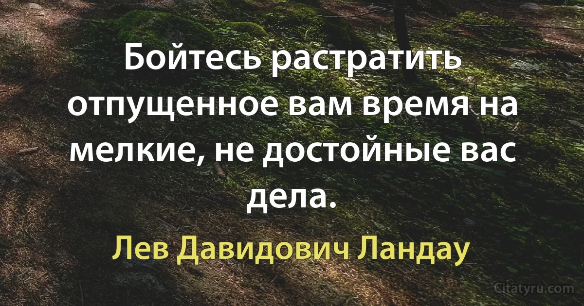 Бойтесь растратить отпущенное вам время на мелкие, не достойные вас дела. (Лев Давидович Ландау)