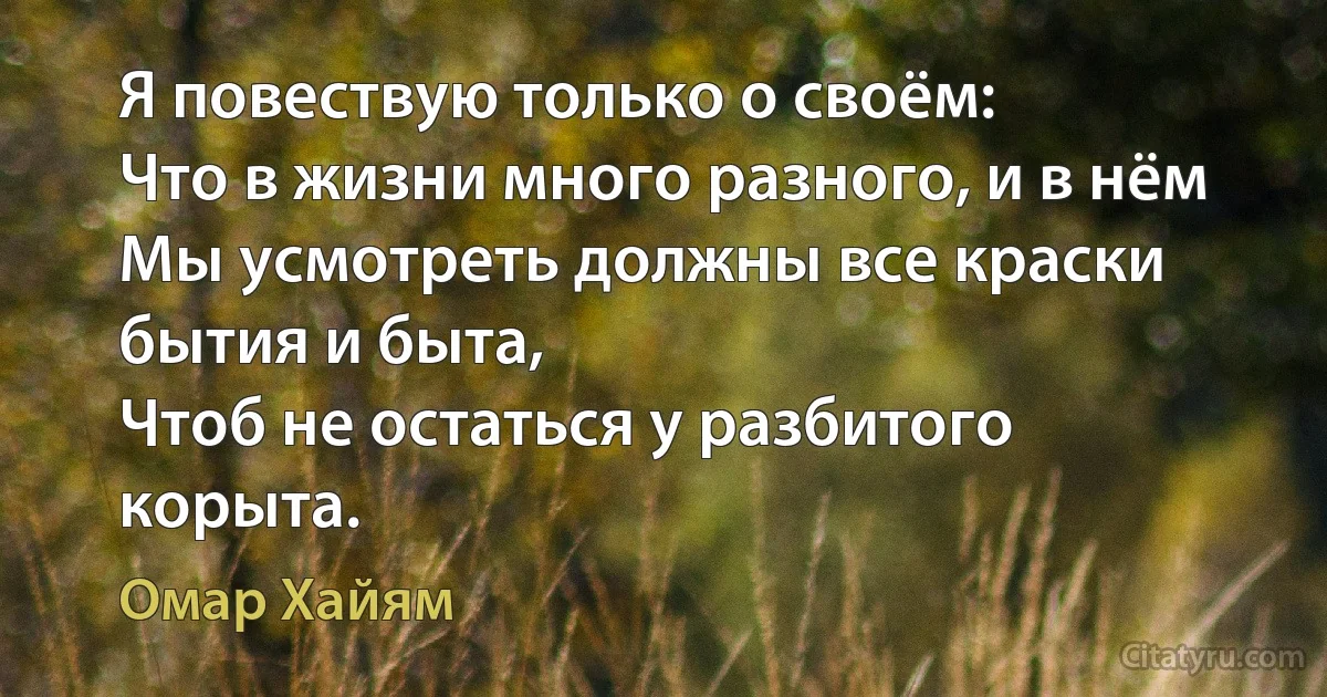 Я повествую только о своём:
Что в жизни много разного, и в нём
Мы усмотреть должны все краски бытия и быта,
Чтоб не остаться у разбитого корыта. (Омар Хайям)