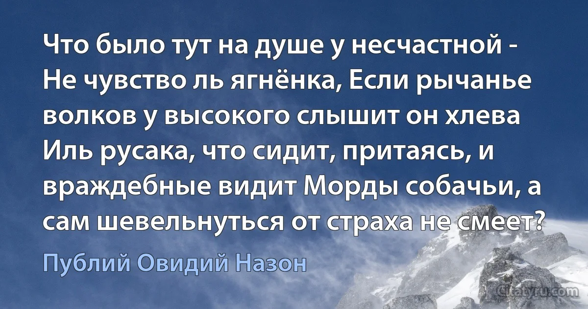 Что было тут на душе у несчастной - Не чувство ль ягнёнка, Если рычанье волков у высокого слышит он хлева Иль русака, что сидит, притаясь, и враждебные видит Морды собачьи, а сам шевельнуться от страха не смеет? (Публий Овидий Назон)