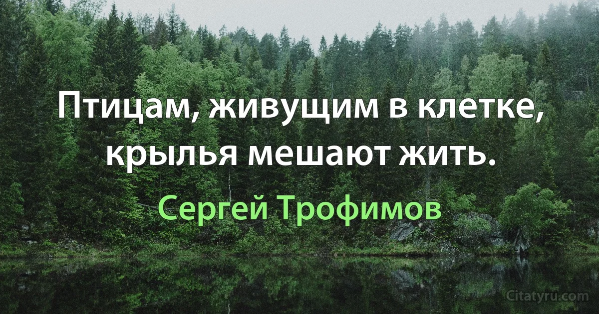 Птицам, живущим в клетке, крылья мешают жить. (Сергей Трофимов)