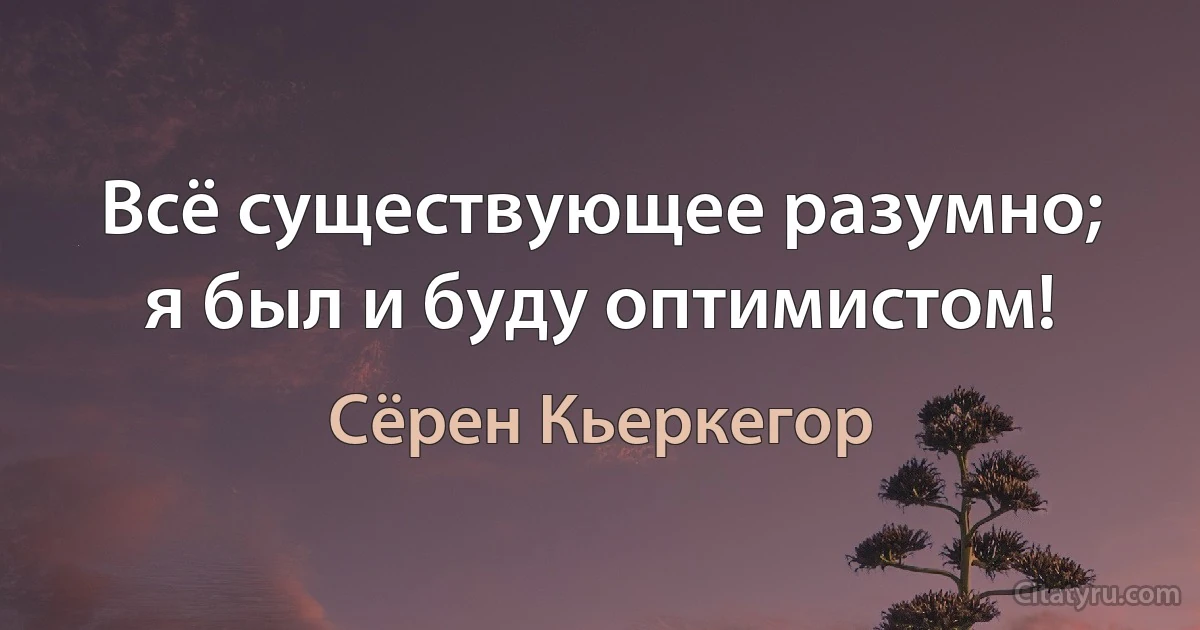 Всё существующее разумно; я был и буду оптимистом! (Сёрен Кьеркегор)