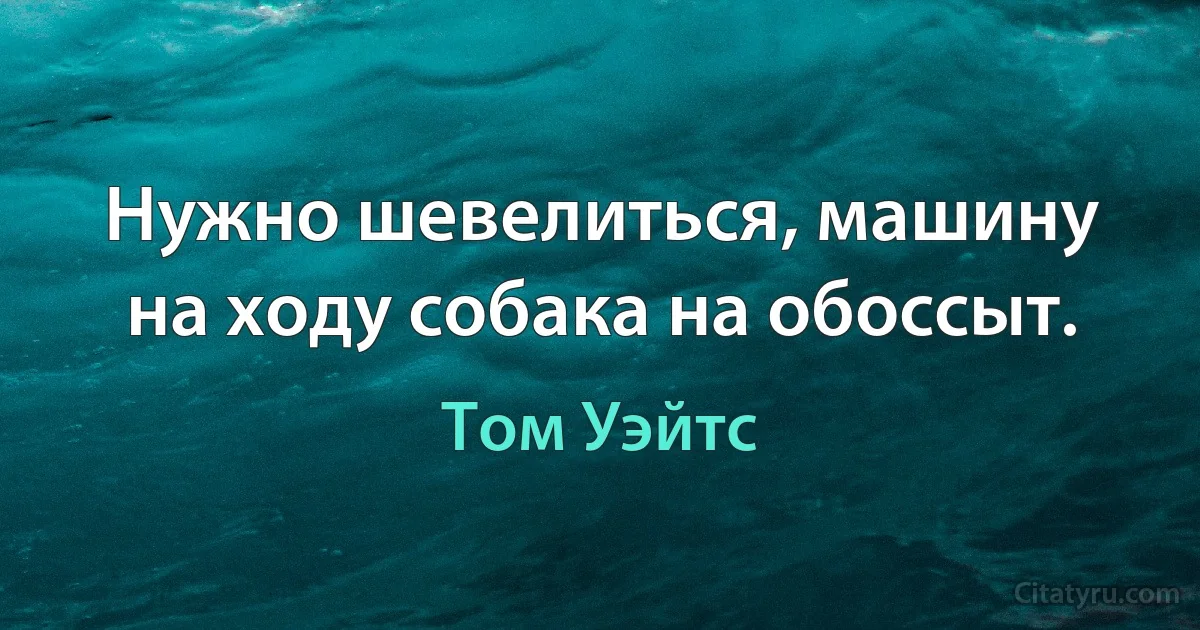 Нужно шевелиться, машину на ходу собака на обоссыт. (Том Уэйтс)