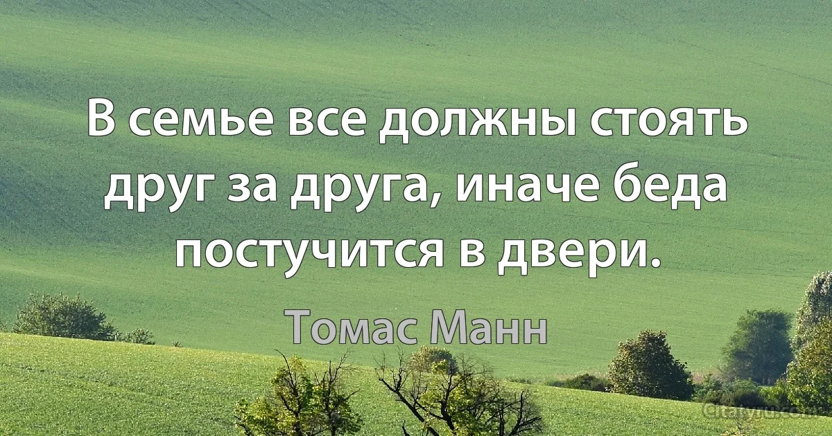 В семье все должны стоять друг за друга, иначе беда постучится в двери. (Томас Манн)