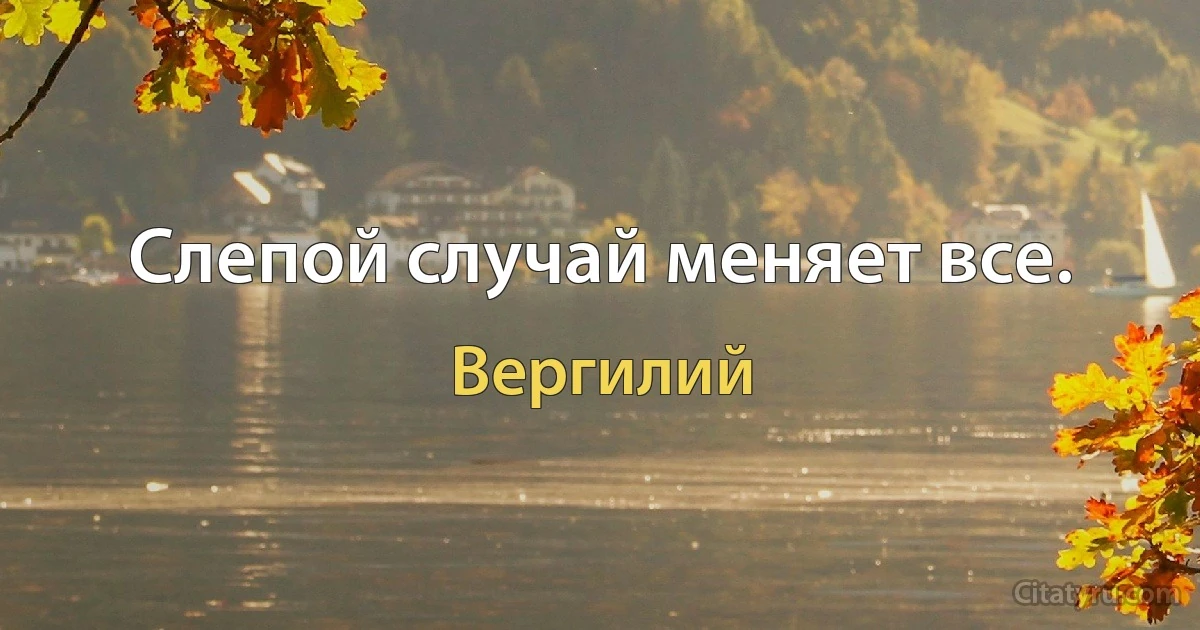 Слепой случай меняет все. (Вергилий)