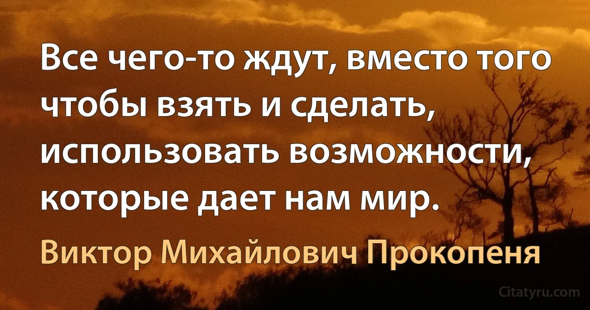 Все чего-то ждут, вместо того чтобы взять и сделать, использовать возможности, которые дает нам мир. (Виктор Михайлович Прокопеня)