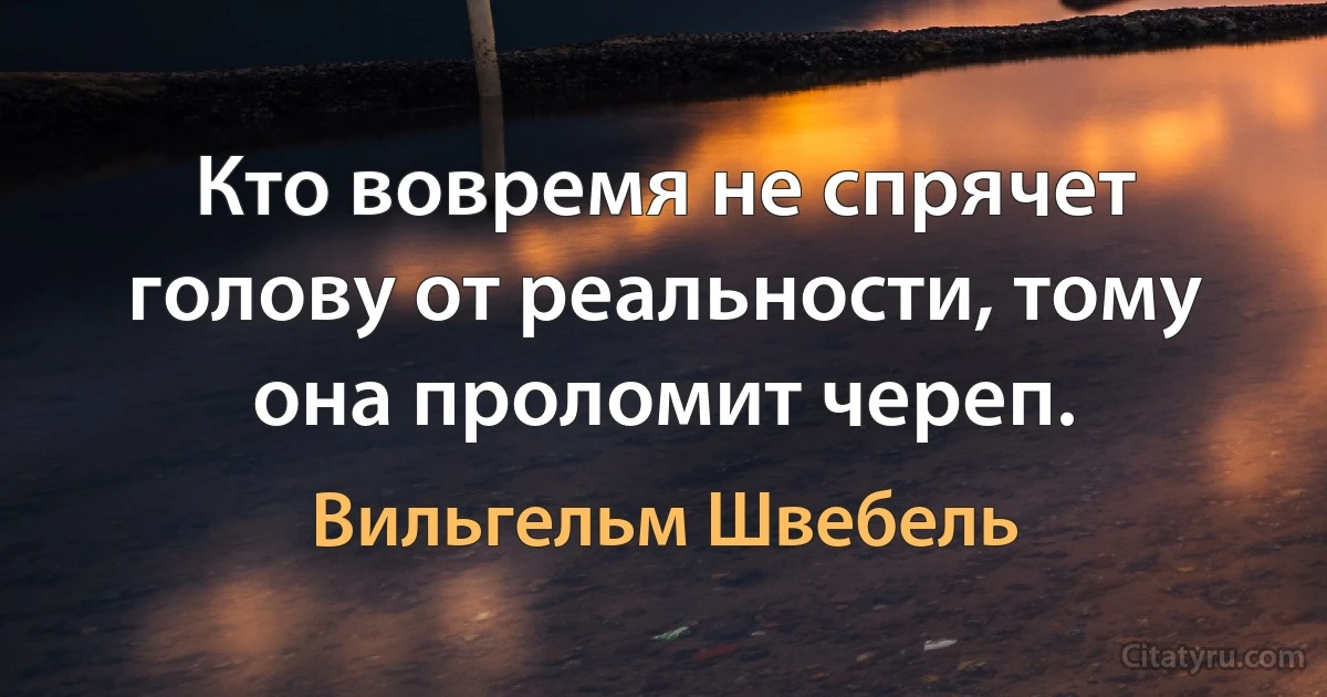 Кто вовремя не спрячет голову от реальности, тому она проломит череп. (Вильгельм Швебель)