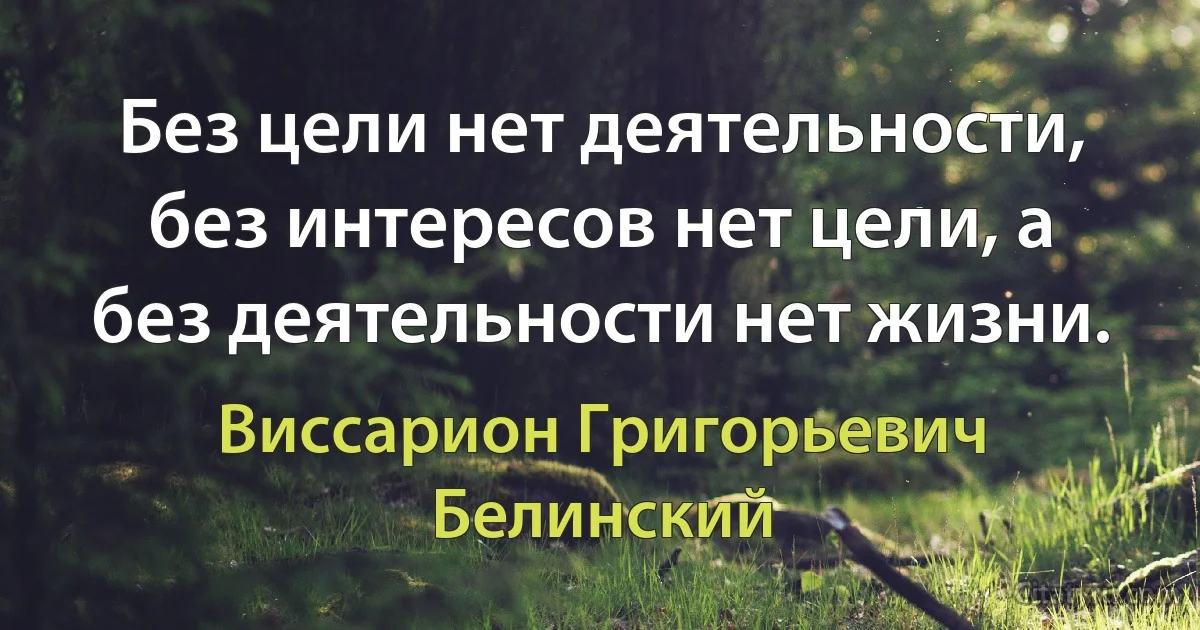 Без цели нет деятельности, без интересов нет цели, а без деятельности нет жизни. (Виссарион Григорьевич Белинский)