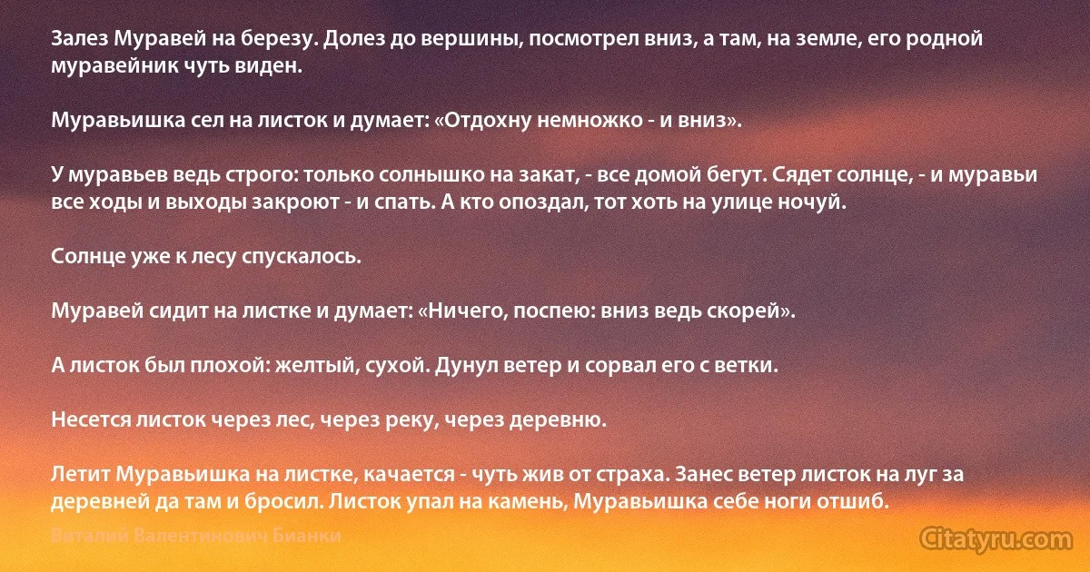 Залез Муравей на березу. Долез до вершины, посмотрел вниз, а там, на земле, его родной муравейник чуть виден.

Муравьишка сел на листок и думает: «Отдохну немножко - и вниз».

У муравьев ведь строго: только солнышко на закат, - все домой бегут. Сядет солнце, - и муравьи все ходы и выходы закроют - и спать. А кто опоздал, тот хоть на улице ночуй.

Солнце уже к лесу спускалось.

Муравей сидит на листке и думает: «Ничего, поспею: вниз ведь скорей».

А листок был плохой: желтый, сухой. Дунул ветер и сорвал его с ветки.

Несется листок через лес, через реку, через деревню.

Летит Муравьишка на листке, качается - чуть жив от страха. Занес ветер листок на луг за деревней да там и бросил. Листок упал на камень, Муравьишка себе ноги отшиб. (Виталий Валентинович Бианки)