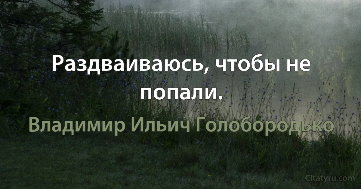 Раздваиваюсь, чтобы не попали. (Владимир Ильич Голобородько)