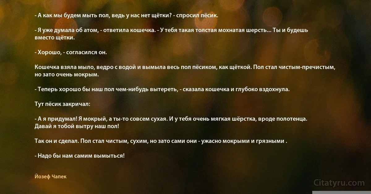 - А как мы будем мыть пол, ведь у нас нет щётки? - спросил пёсик.

- Я уже думала об атом, - ответила кошечка. - У тебя такая толстая мохнатая шерсть... Ты и будешь вместо щётки.

- Хорошо, - согласился он.

Кошечка взяла мыло, ведро с водой и вымыла весь пол пёсиком, как щёткой. Пол стал чистым-пречистым, но зато очень мокрым.

- Теперь хорошо бы наш пол чем-нибудь вытереть, - сказала кошечка и глубоко вздохнула.

Тут пёсик закричал:

- А я придумал! Я мокрый, а ты-то совсем сухая. И у тебя очень мягкая шёрстка, вроде полотенца. Давай я тобой вытру наш пол!

Так он и сделал. Пол стал чистым, сухим, но зато сами они - ужасно мокрыми и грязными .

- Надо бы нам самим вымыться! (Йозеф Чапек)