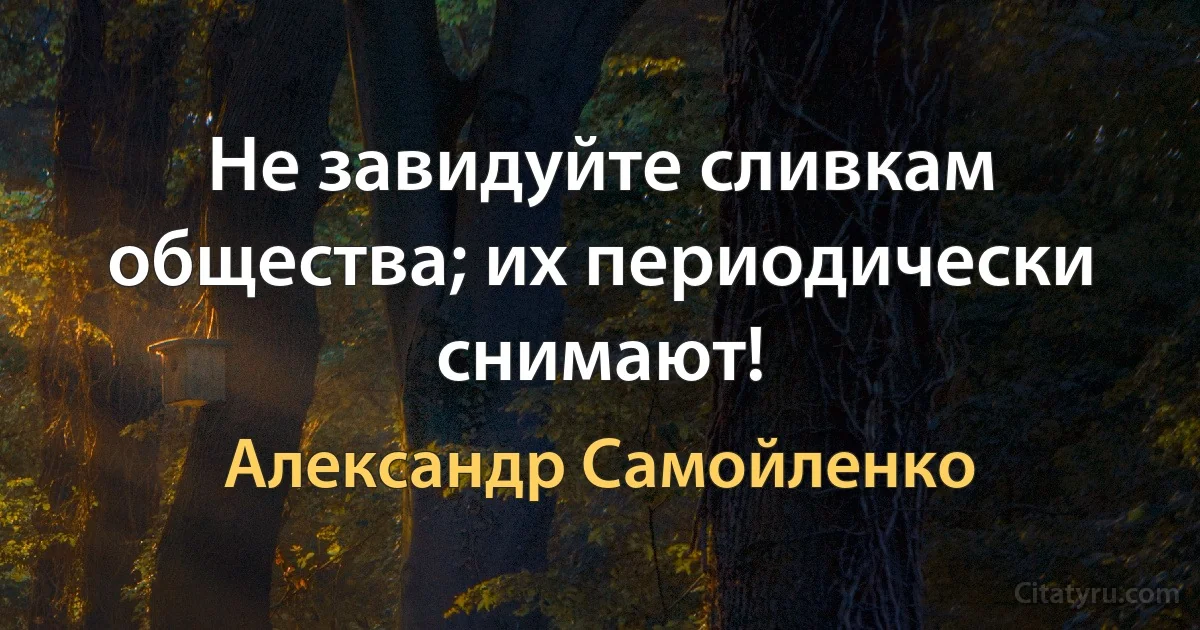 Не завидуйте сливкам общества; их периодически снимают! (Александр Самойленко)