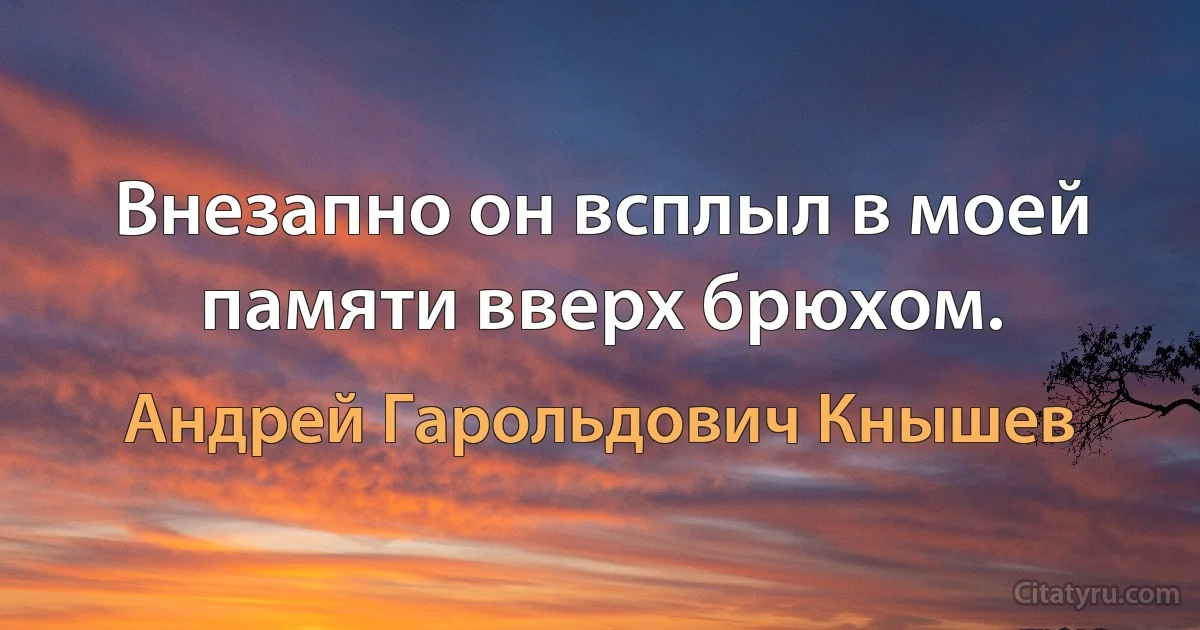 Внезапно он всплыл в моей памяти вверх брюхом. (Андрей Гарольдович Кнышев)