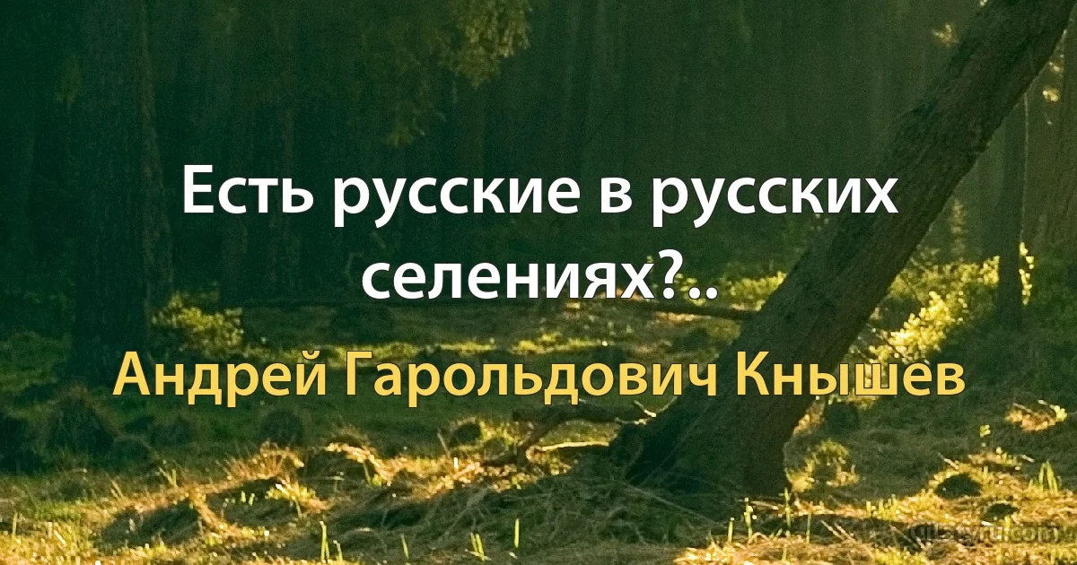 Есть русские в русских селениях?.. (Андрей Гарольдович Кнышев)